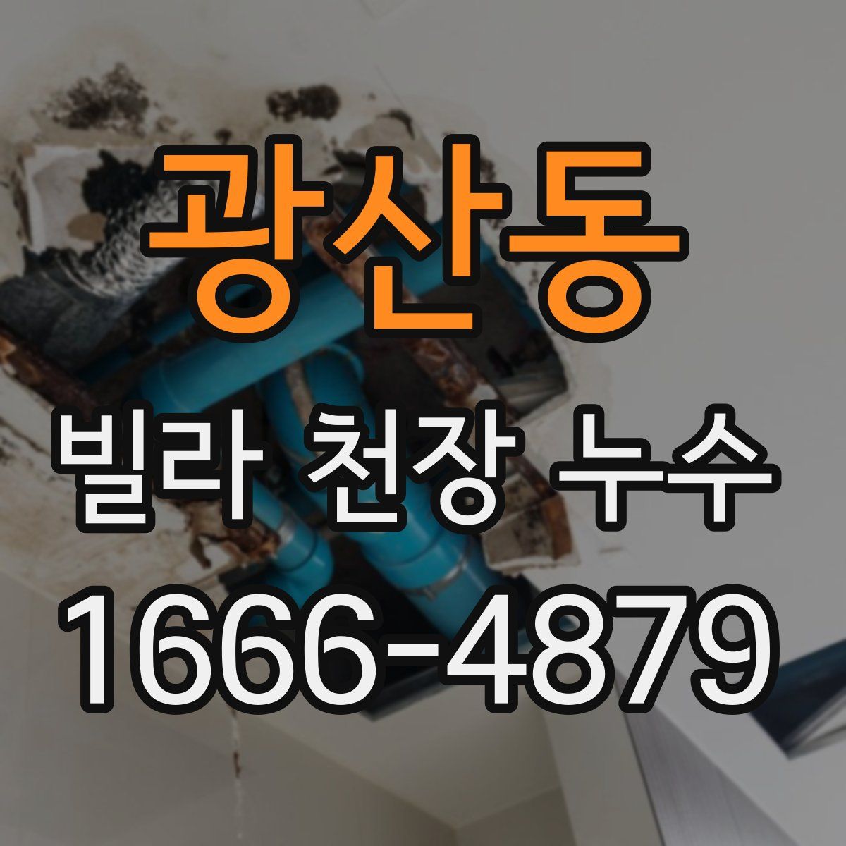 광산동 빌라 천장 누수