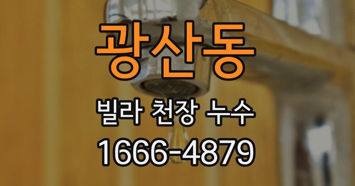 광산동 빌라 천장 누수