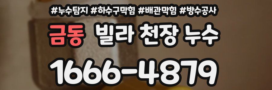 금동 빌라 천장 누수