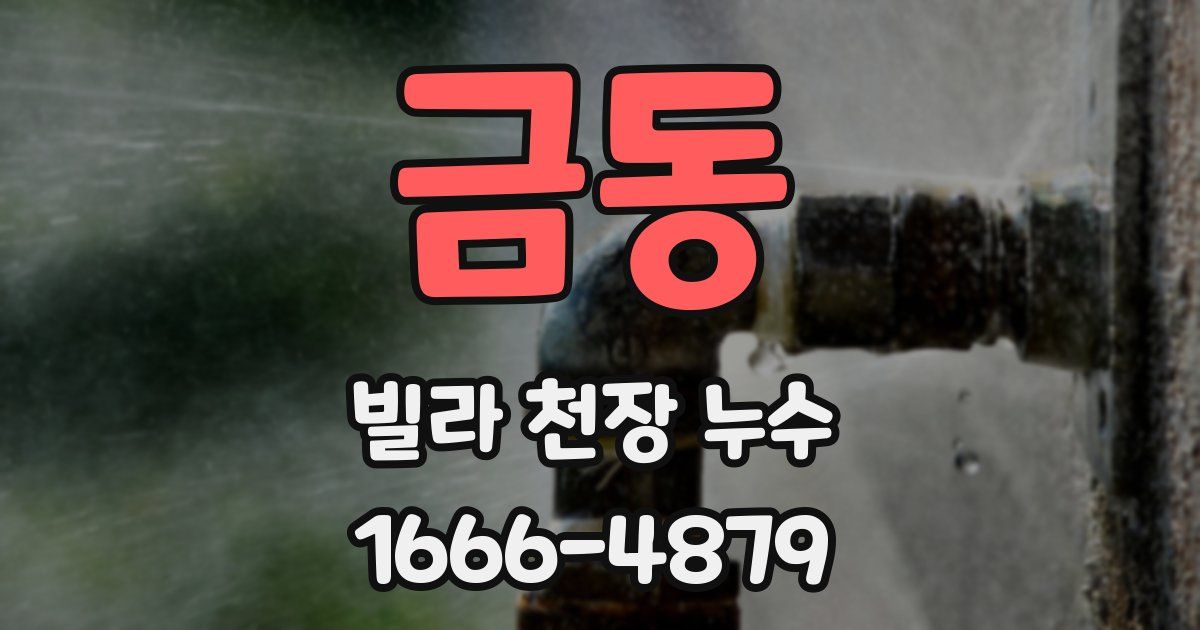 금동 빌라 천장 누수