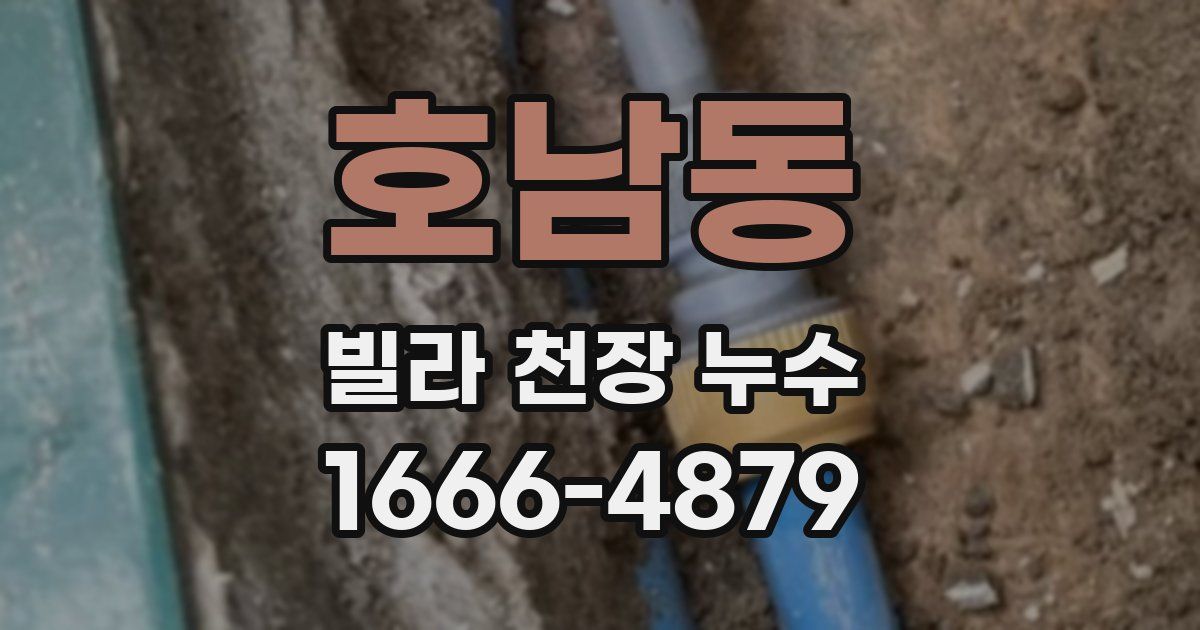 호남동 빌라 천장 누수
