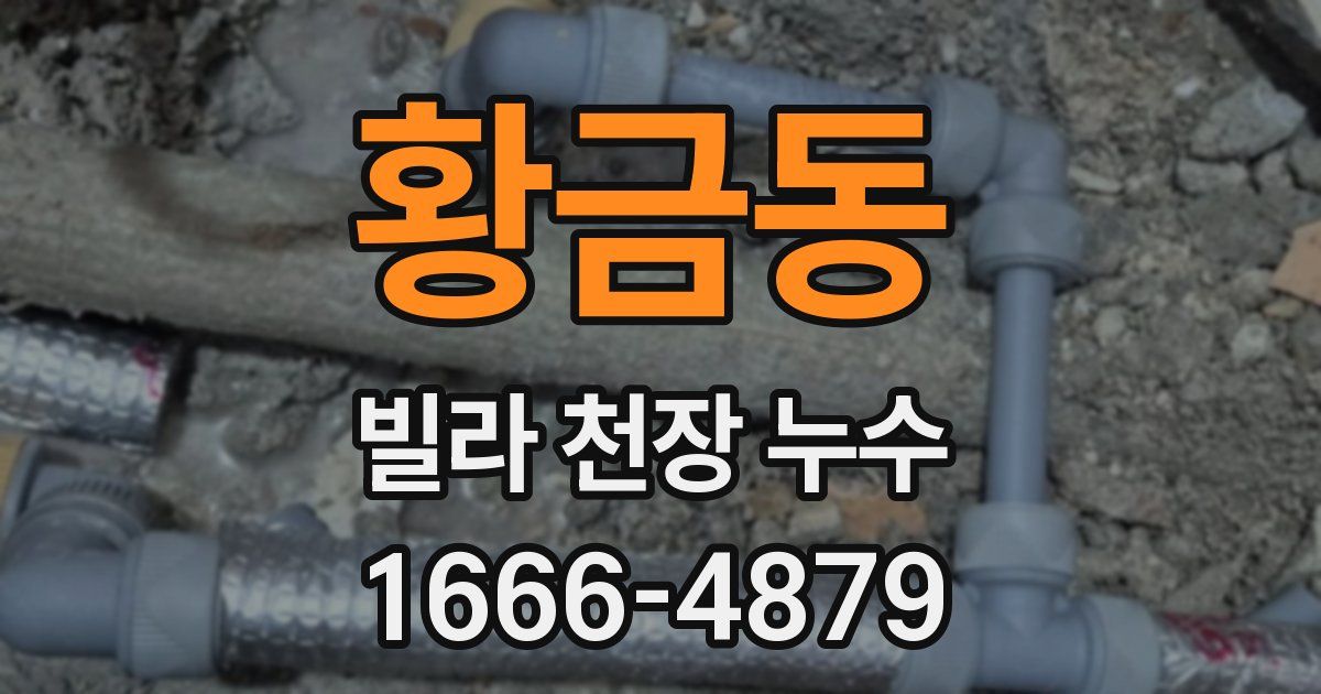 황금동 빌라 천장 누수