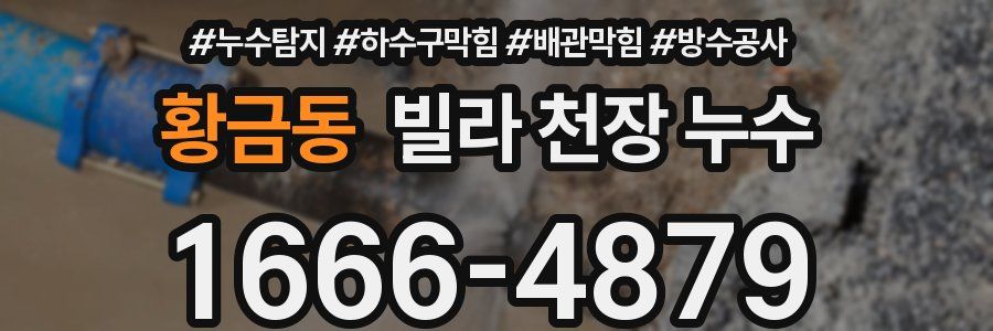 황금동 빌라 천장 누수