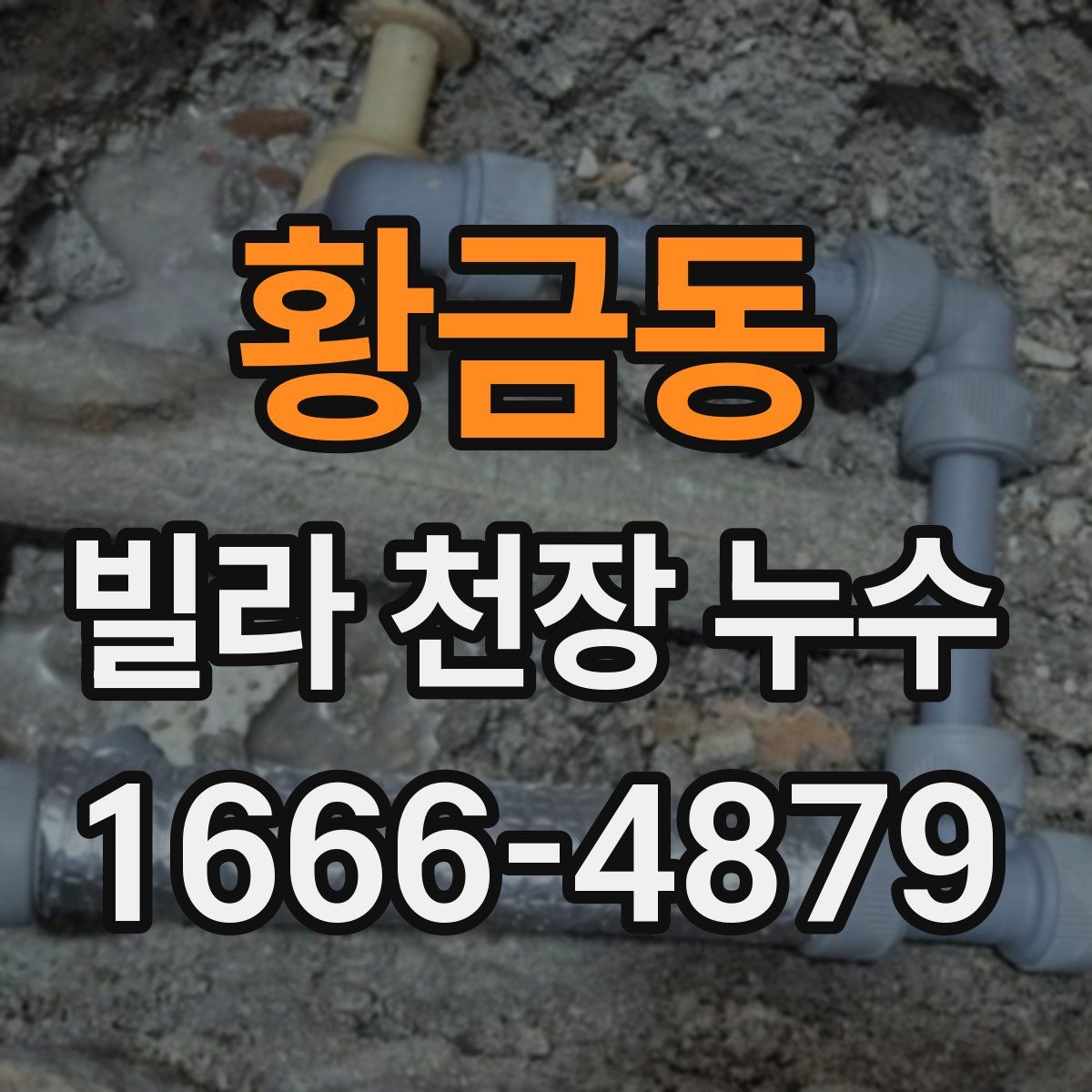 황금동 빌라 천장 누수