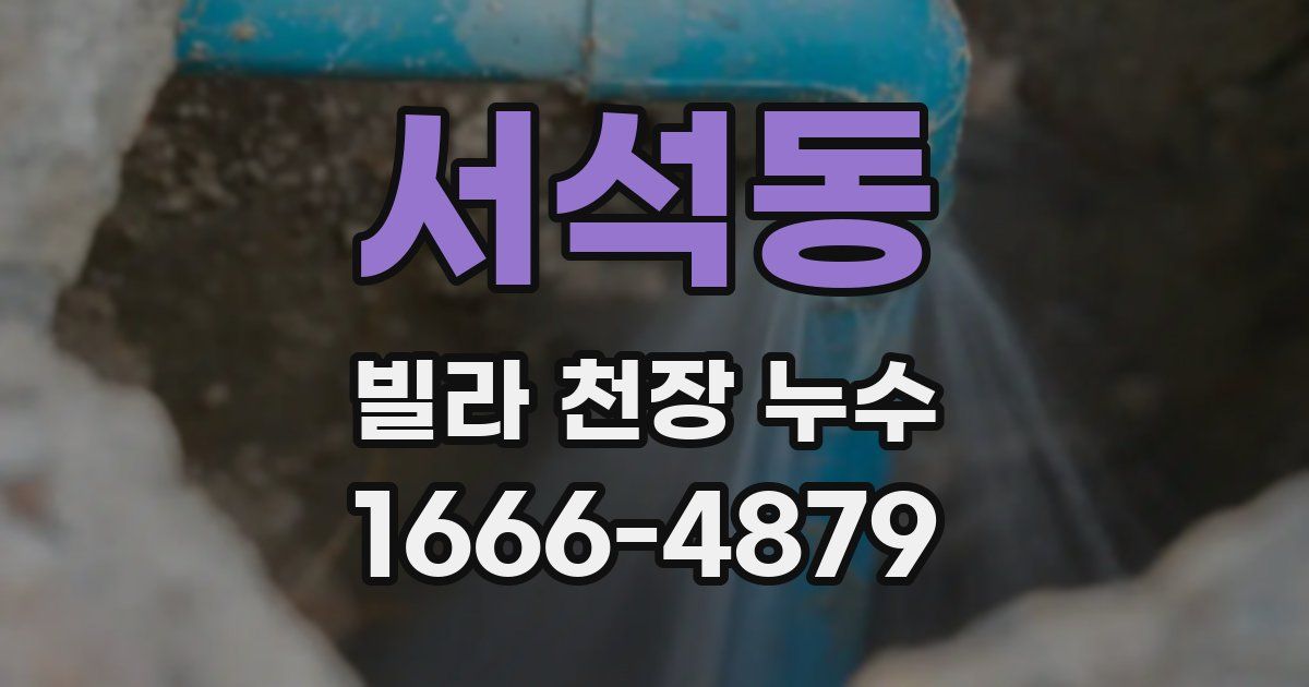 서석동 빌라 천장 누수
