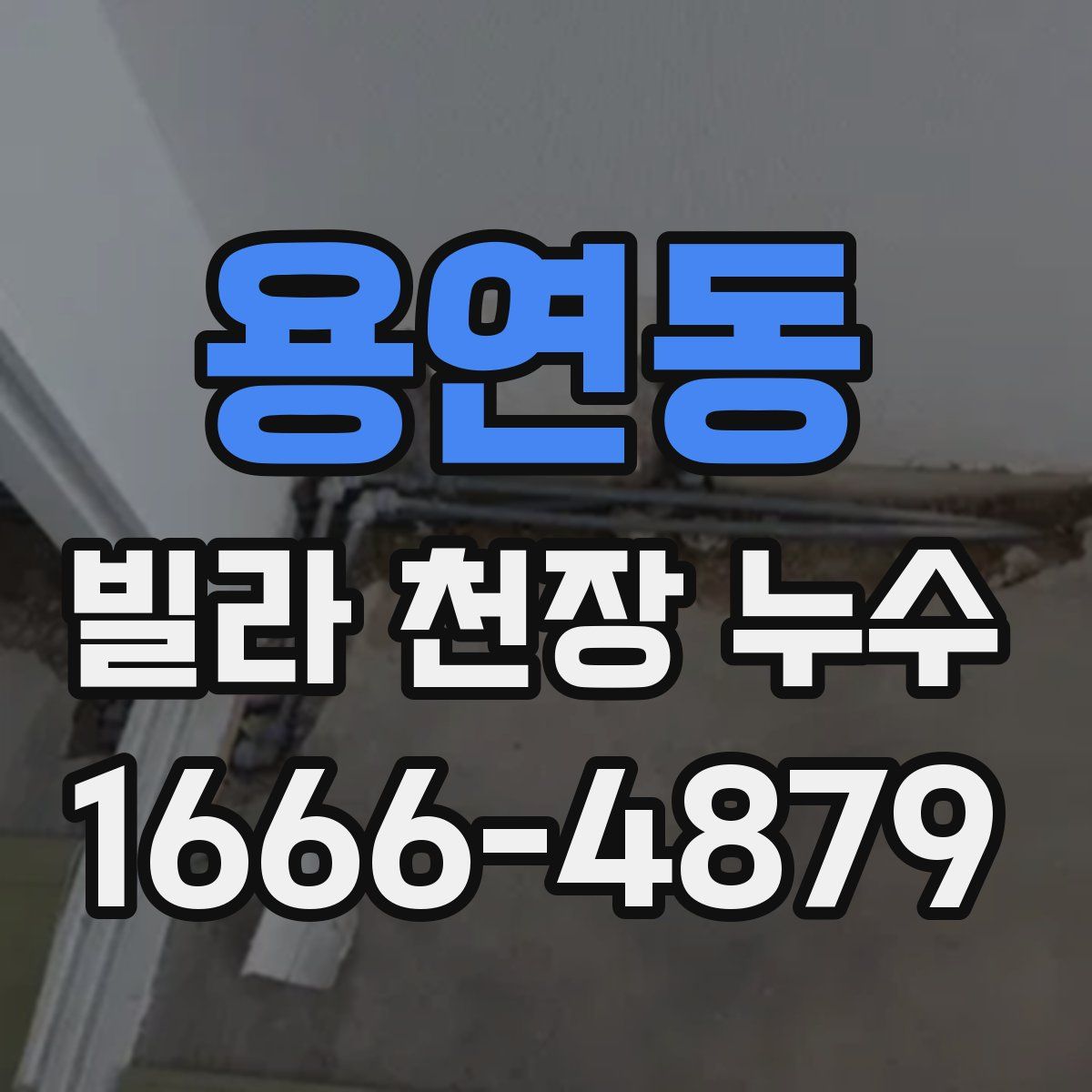 용연동 빌라 천장 누수