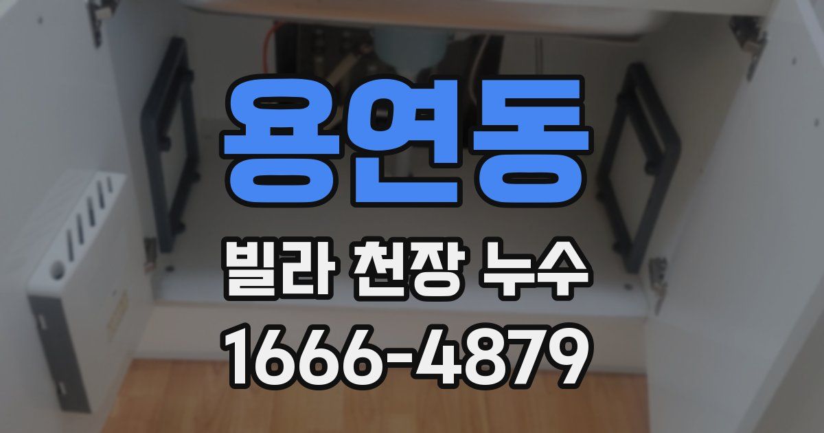 용연동 빌라 천장 누수