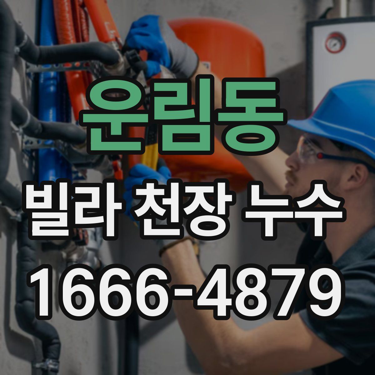 운림동 빌라 천장 누수