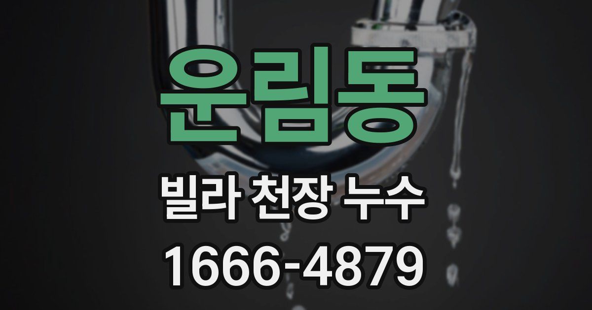 운림동 빌라 천장 누수