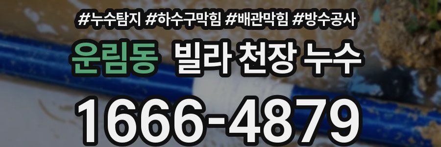 운림동 빌라 천장 누수