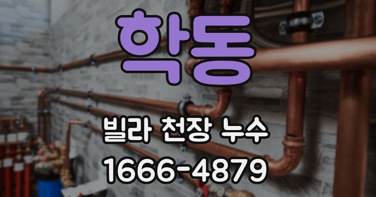 학동 빌라 천장 누수