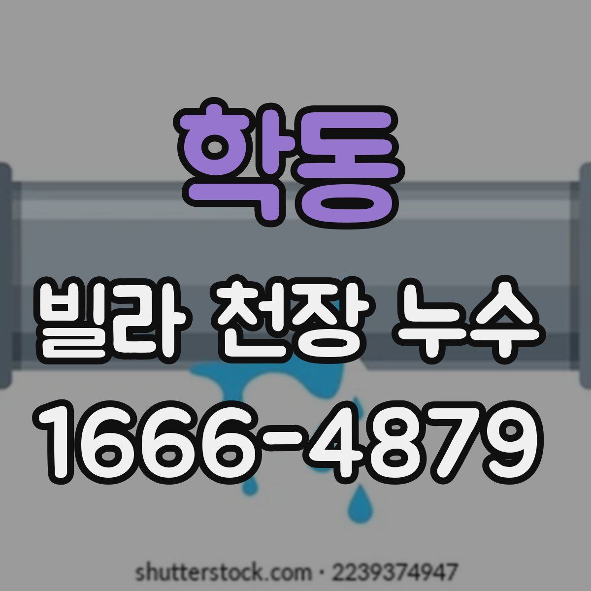 학동 빌라 천장 누수