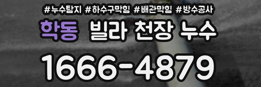 학동 빌라 천장 누수