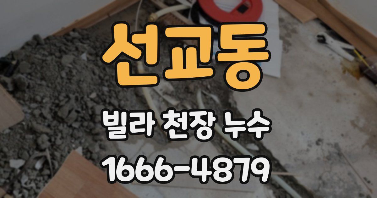 선교동 빌라 천장 누수
