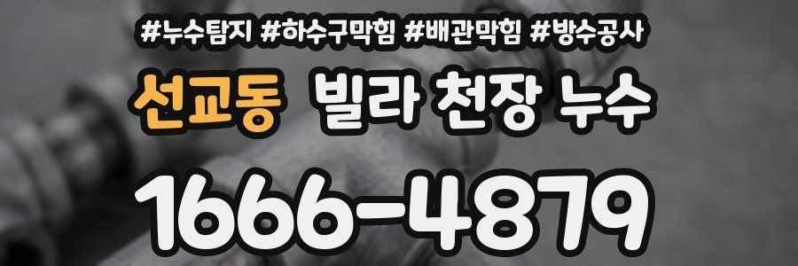 선교동 빌라 천장 누수