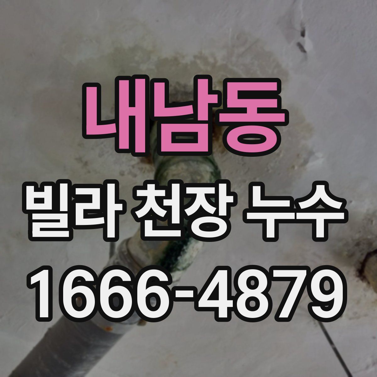 내남동 빌라 천장 누수