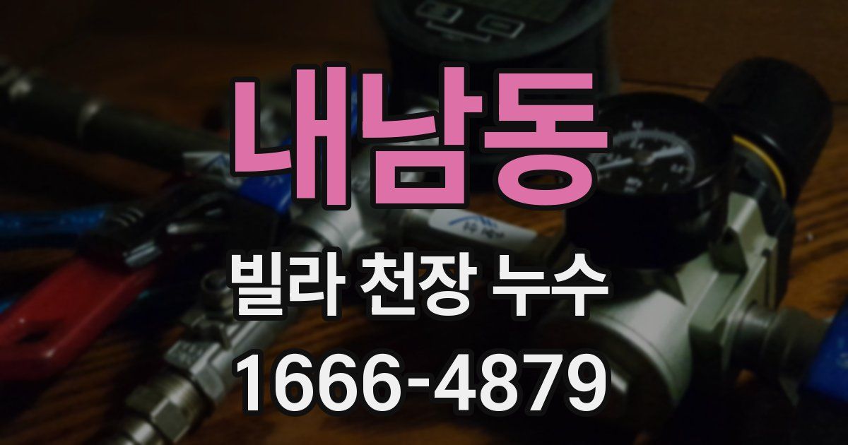 내남동 빌라 천장 누수
