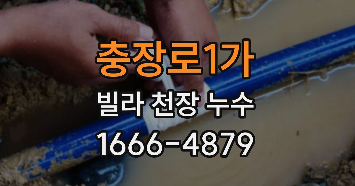 충장로1가 빌라 천장 누수