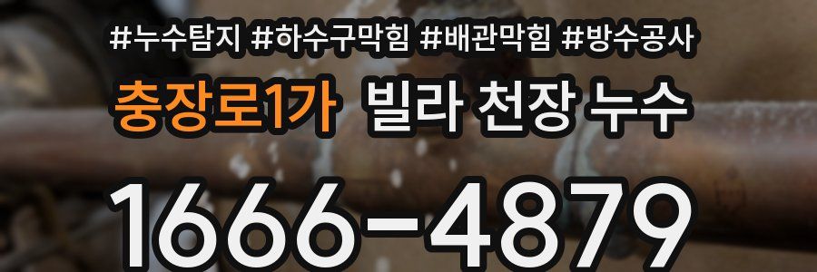 충장로1가 빌라 천장 누수