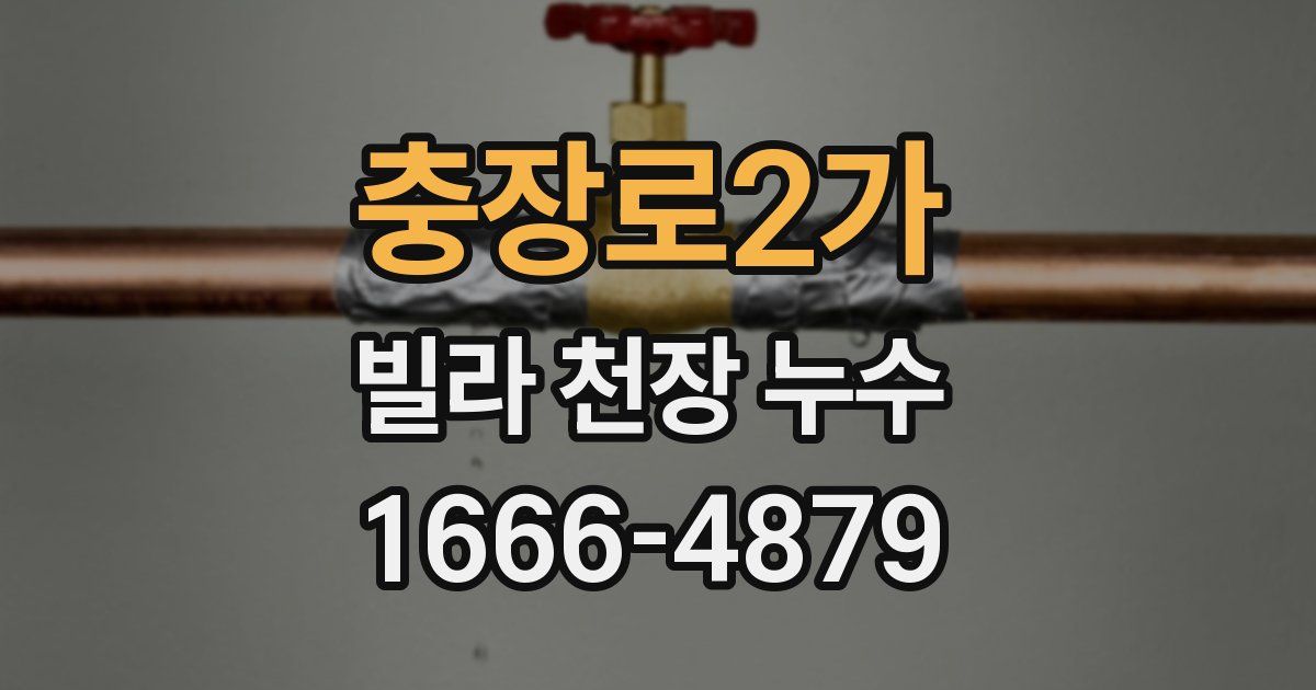 충장로2가 빌라 천장 누수