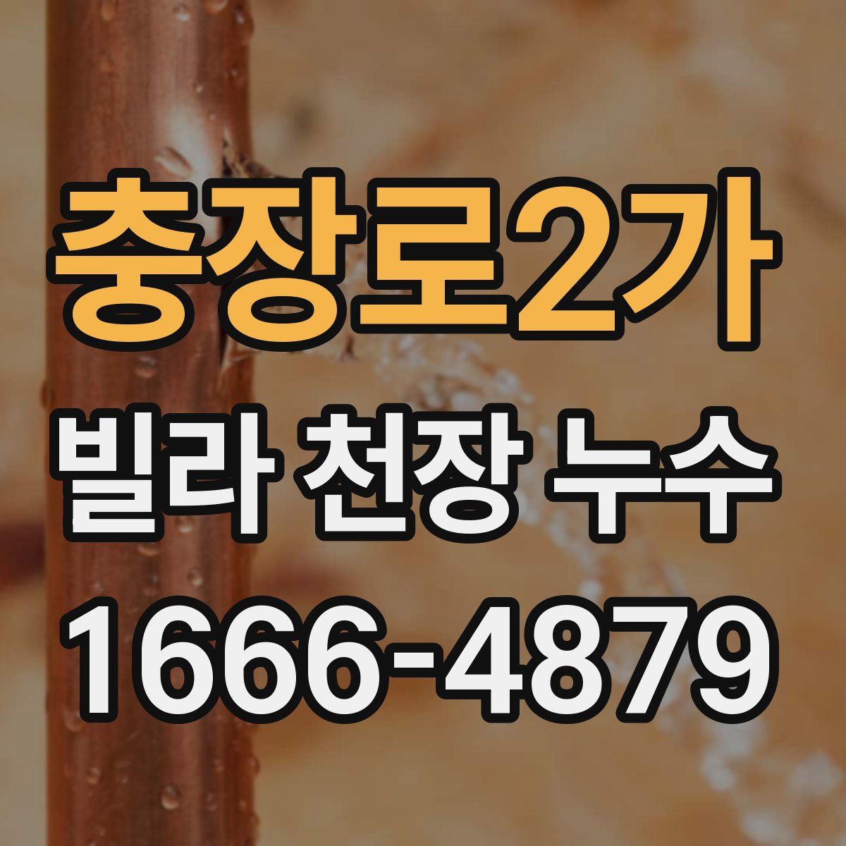 충장로2가 빌라 천장 누수