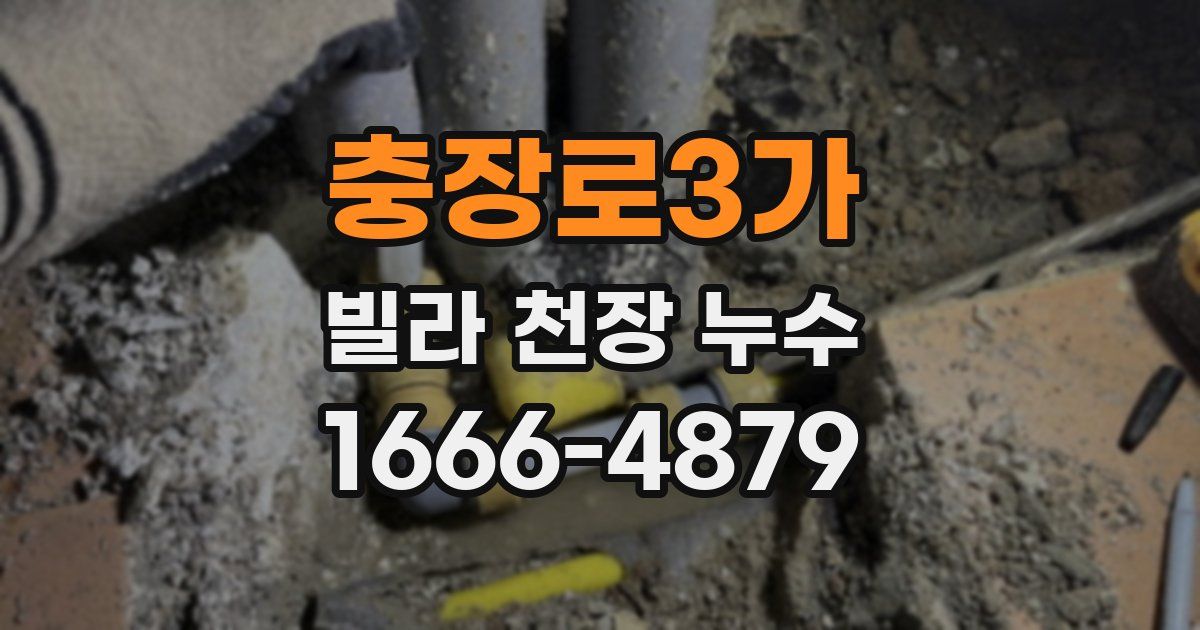 충장로3가 빌라 천장 누수