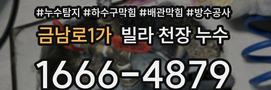 금남로1가 빌라 천장 누수