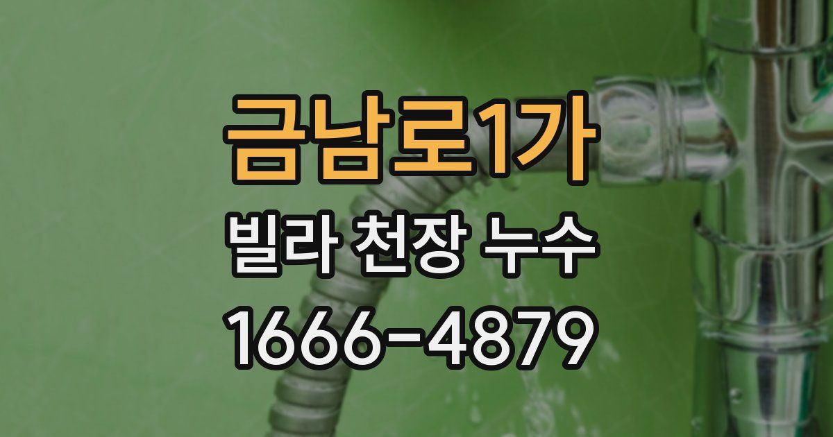 금남로1가 빌라 천장 누수