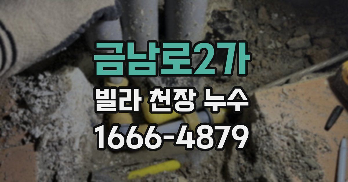 금남로2가 빌라 천장 누수