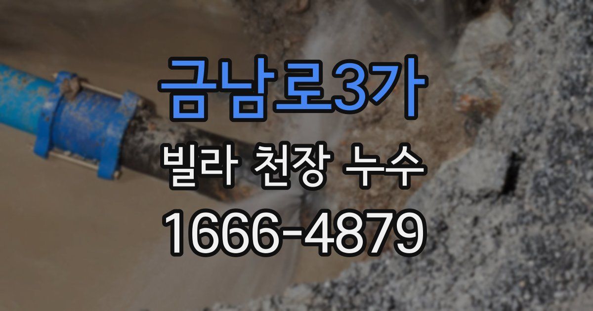 금남로3가 빌라 천장 누수