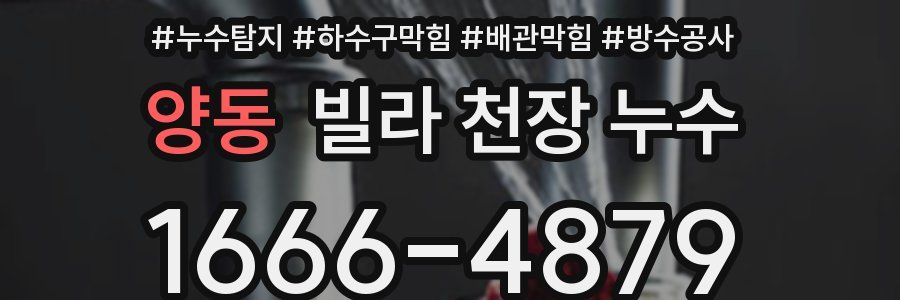 양동 빌라 천장 누수