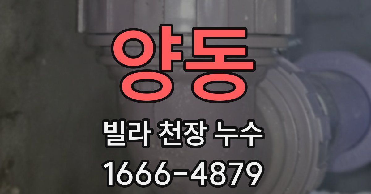 양동 빌라 천장 누수