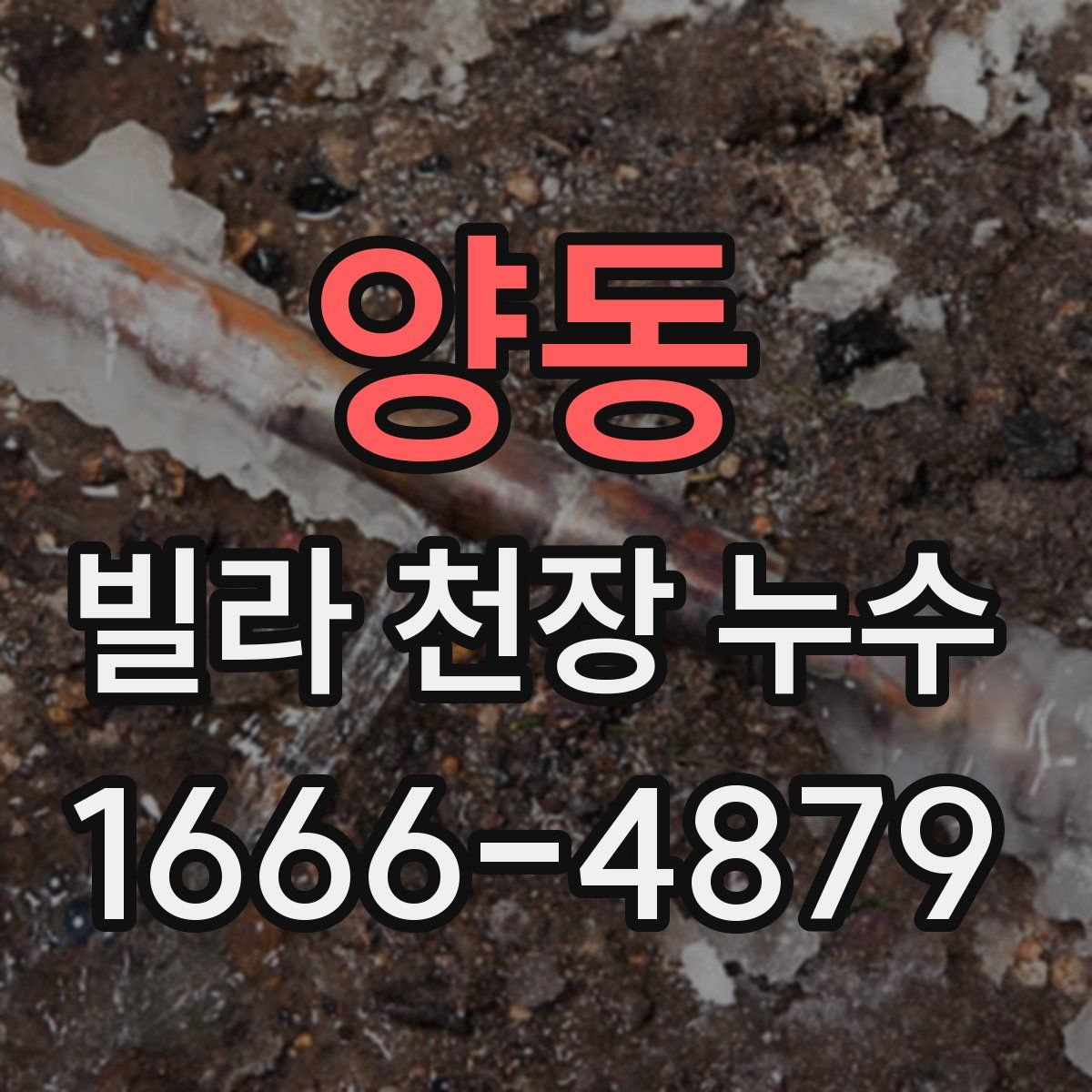 양동 빌라 천장 누수
