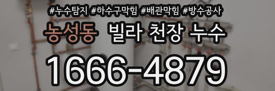 농성동 빌라 천장 누수
