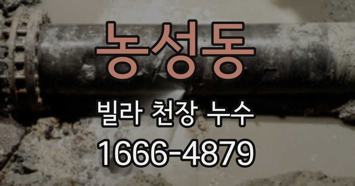 농성동 빌라 천장 누수
