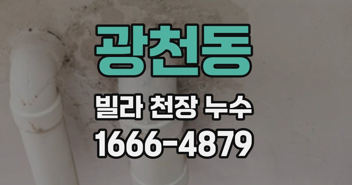 광천동 빌라 천장 누수