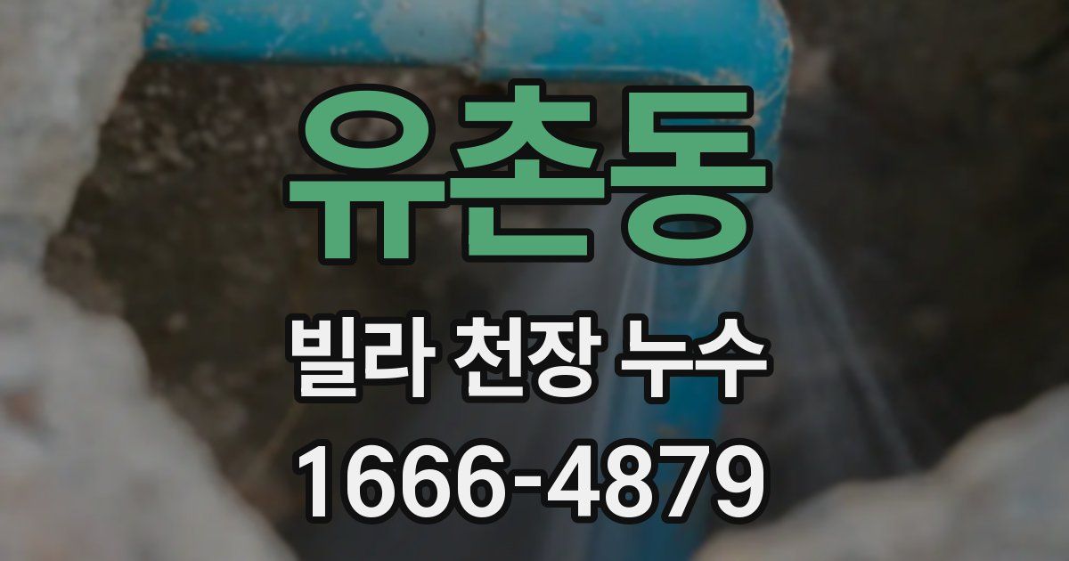 유촌동 빌라 천장 누수