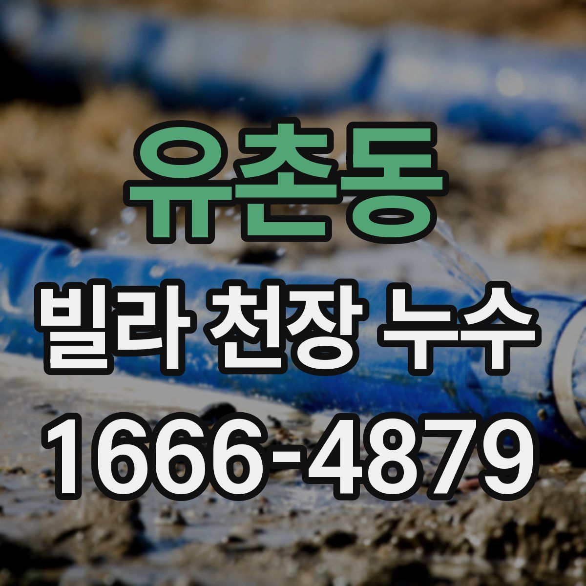 유촌동 빌라 천장 누수