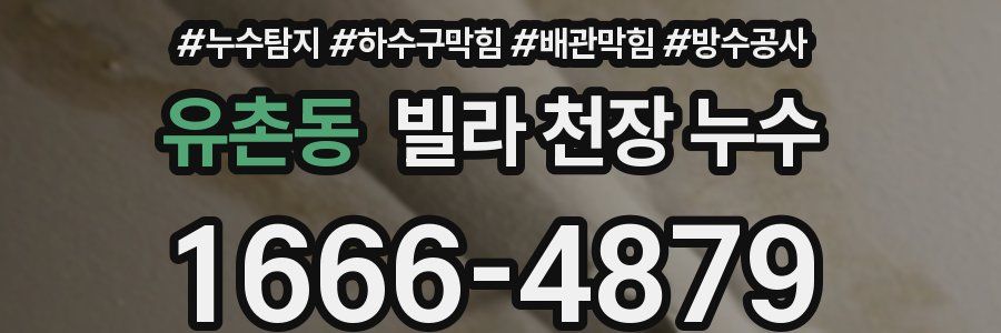 유촌동 빌라 천장 누수