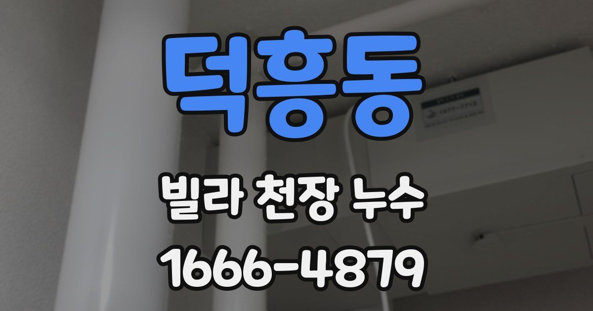 덕흥동 빌라 천장 누수