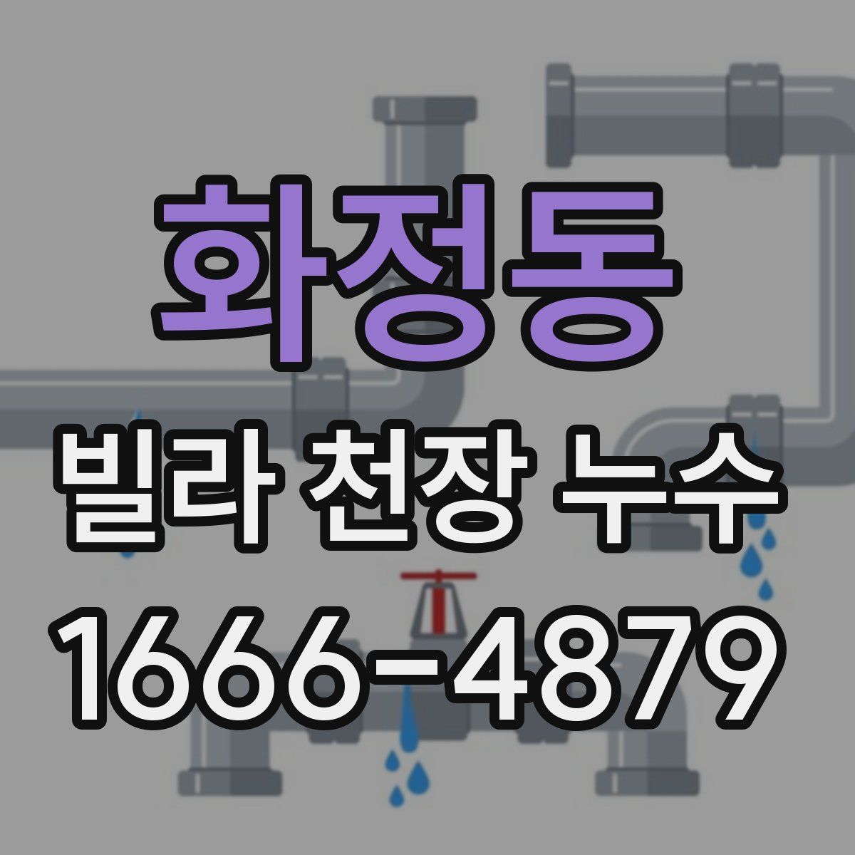 화정동 빌라 천장 누수