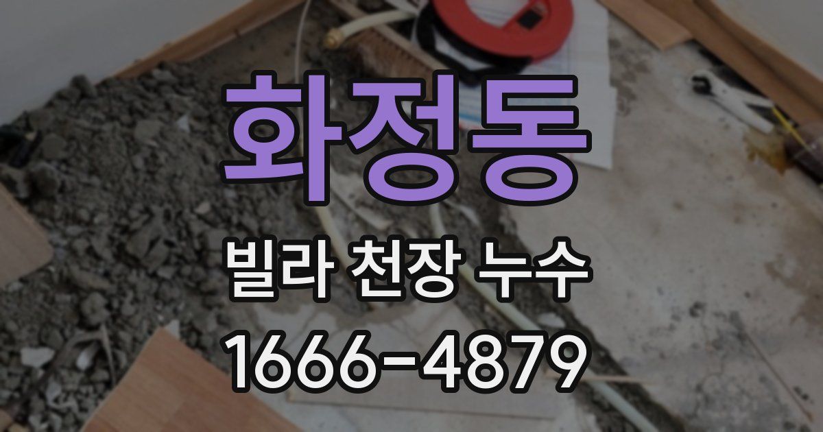 화정동 빌라 천장 누수