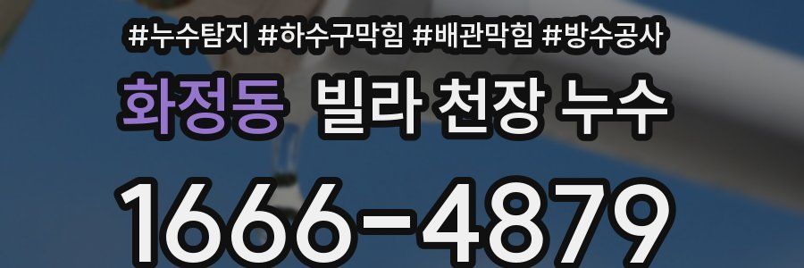 화정동 빌라 천장 누수