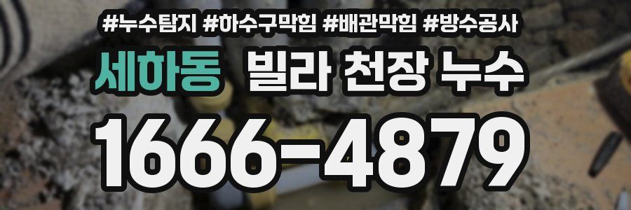 세하동 빌라 천장 누수