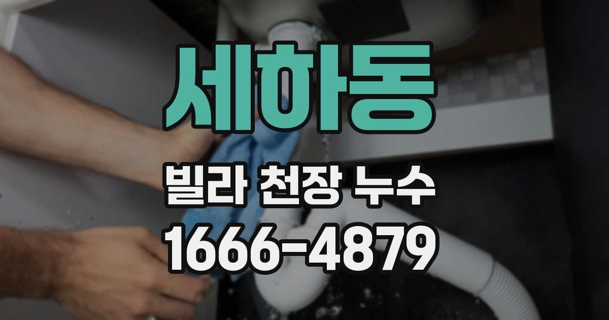 세하동 빌라 천장 누수