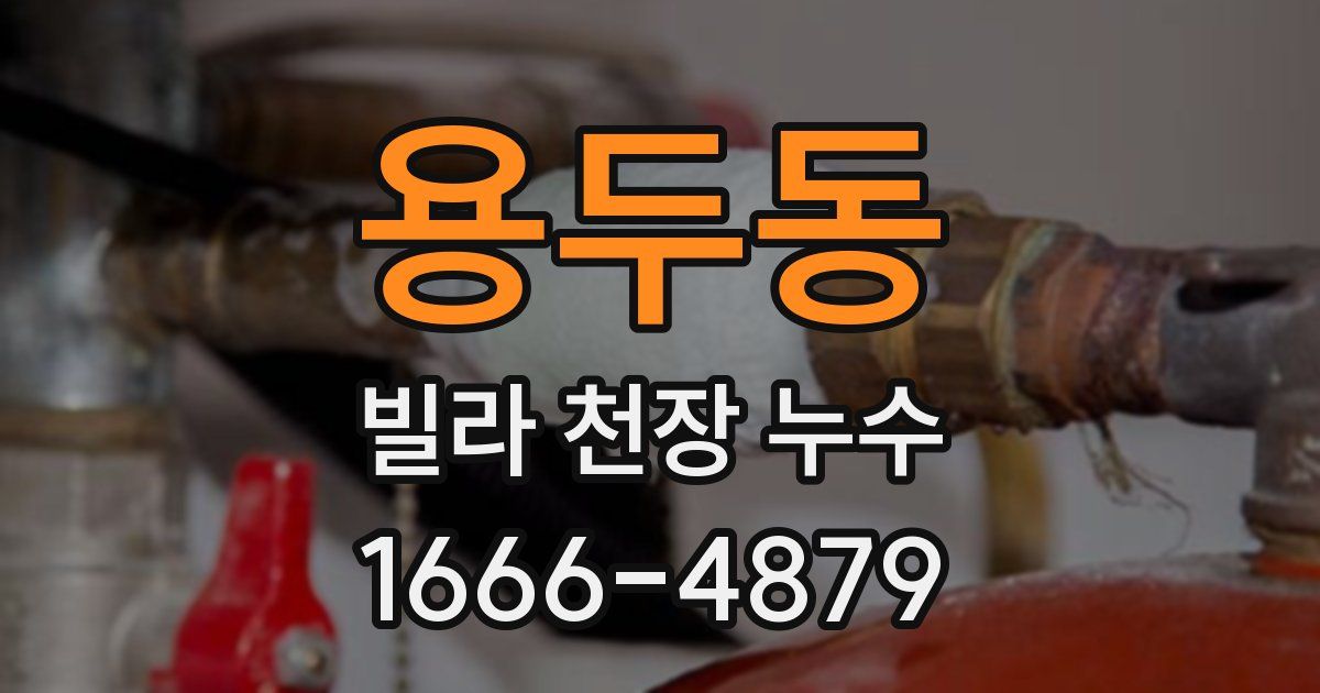 용두동 빌라 천장 누수