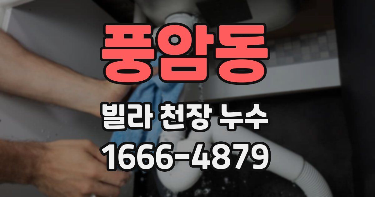 풍암동 빌라 천장 누수