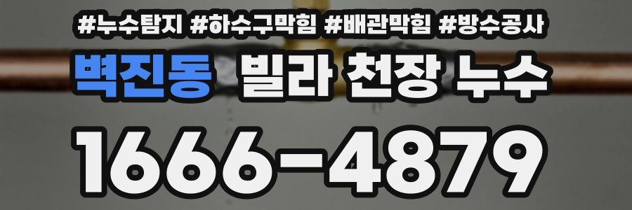 벽진동 빌라 천장 누수