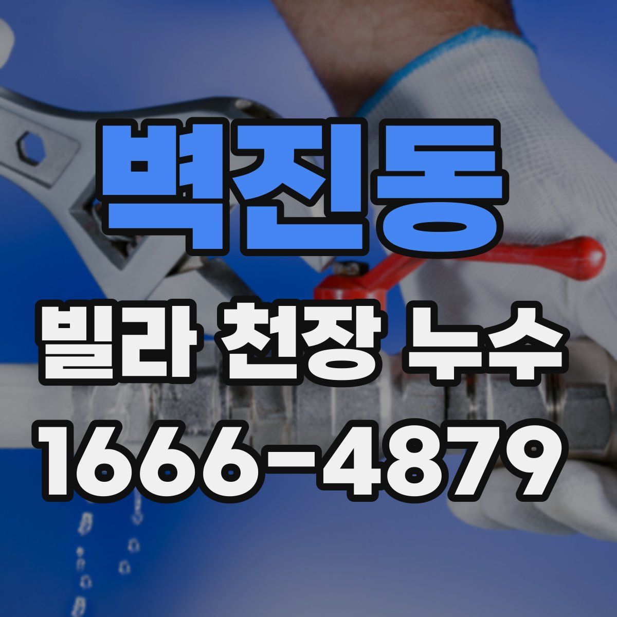 벽진동 빌라 천장 누수
