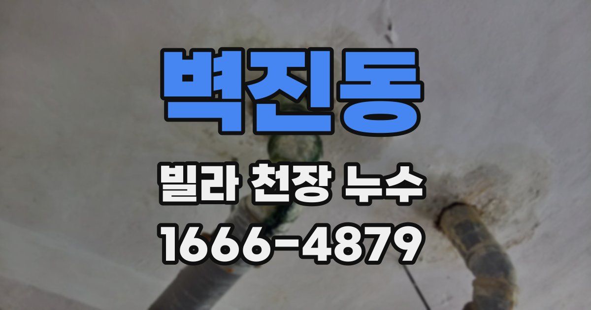 벽진동 빌라 천장 누수